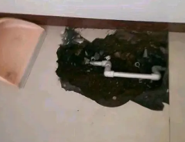 普兰店卫生间测漏水多少钱